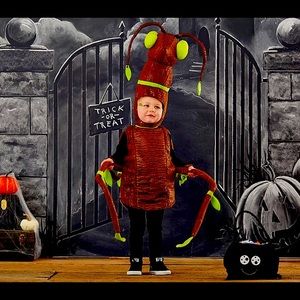 Pottery Barn Kids Stick Bug Light Up Costume- Size 3T